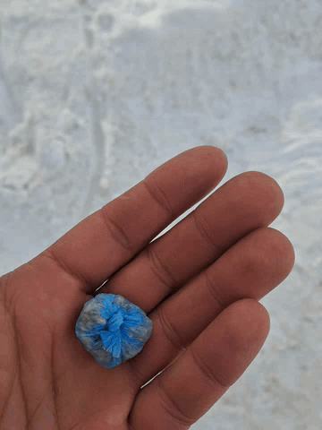 20260207_120019.gif