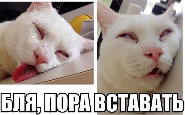IMG_0716.jpeg