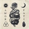 Amor Fati