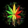RastaManiya