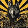 BORZZZZ