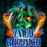 ZMEYГОРЫНЫЧ