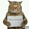 megaboxic