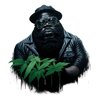 ricky_ross