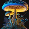 MushroomDad
