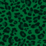 r r v