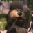 Bears