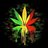 RastaManiya