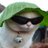 Kldmnmdkprkp5sm