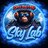 SKYLAB return