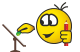 :Paint21: